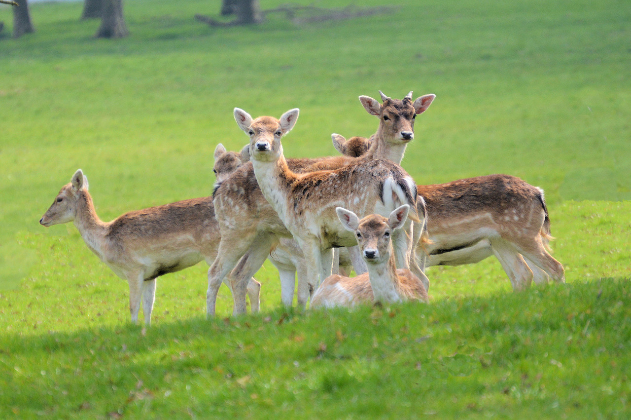 Fwd: Photo			
					</div><!-- .entry-content -->
		
		<footer>
		
		
		
					
					</footer><!-- .entry-meta -->
	</article><!-- #post -->
				
											
				
		
<hr class=