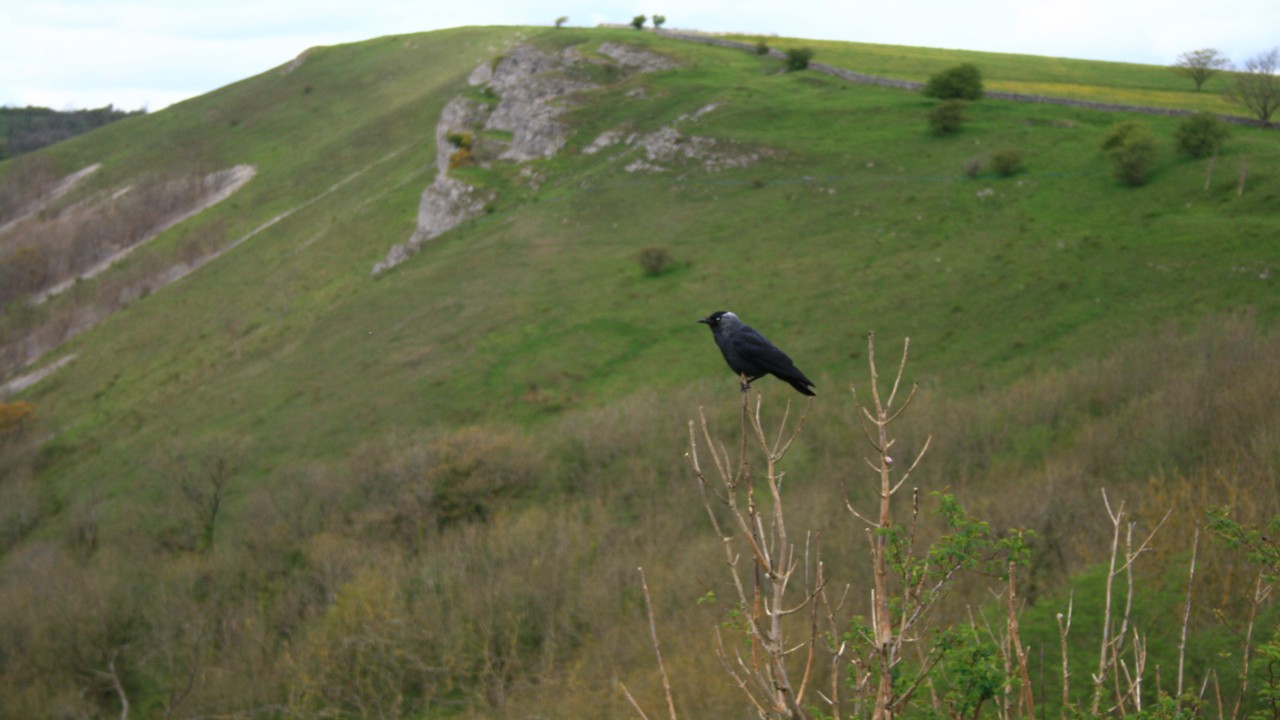 Fwd: David Maycock, Jackdaw, Monsal Head			
					</div><!-- .entry-content -->
		
		<footer>
		
		
		
					
					</footer><!-- .entry-meta -->
	</article><!-- #post -->
				
											
				
		
<hr class=