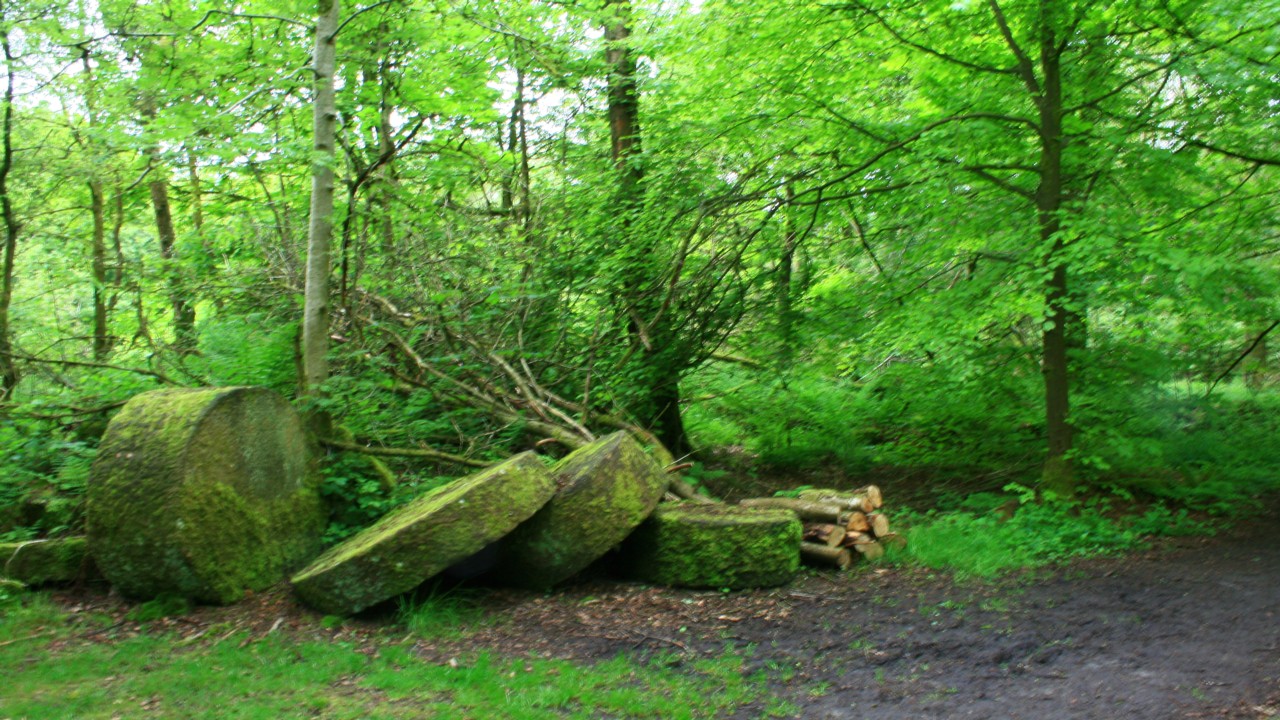 Fwd: David Maycock, Stanton			
					</div><!-- .entry-content -->
		
		<footer>
		
		
		
					
					</footer><!-- .entry-meta -->
	</article><!-- #post -->
				
											
				
		
<hr class=