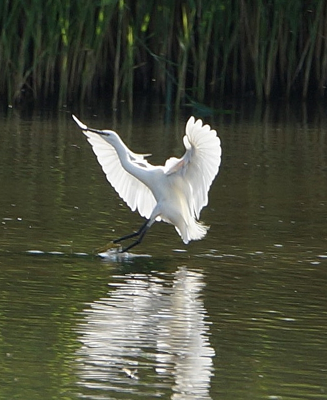 Fwd: [SPAM] Photo Willy D  Pott Carr			
					</div><!-- .entry-content -->
		
		<footer>
		
		
		
					
					</footer><!-- .entry-meta -->
	</article><!-- #post -->
				
											
				
		
<hr class=