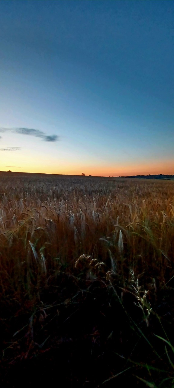 Fwd: Markius Maximus- pre dawn from Stow Bridge Lane.			
					</div><!-- .entry-content -->
		
		<footer>
		
		
		
					
					</footer><!-- .entry-meta -->
	</article><!-- #post -->
				
											
				
		
<hr class=