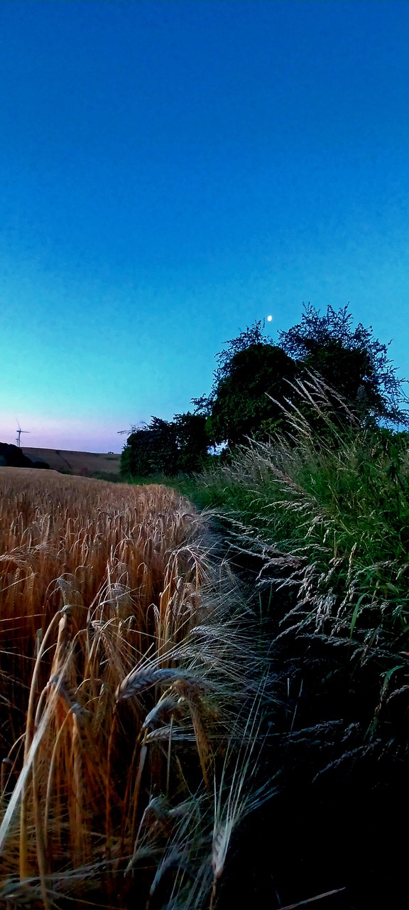 Fwd: By Markius Maximus- Stow Bridge Lane			
					</div><!-- .entry-content -->
		
		<footer>
		
		
		
					
					</footer><!-- .entry-meta -->
	</article><!-- #post -->
				
											
				
		
<hr class=