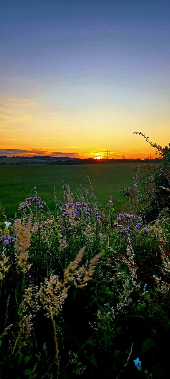 Fwd: By Markius Maximus- Sunrise Upper Whiston			
					</div><!-- .entry-content -->
		
		<footer>
		
		
		
					
					</footer><!-- .entry-meta -->
	</article><!-- #post -->
				
											
				
		
<hr class=