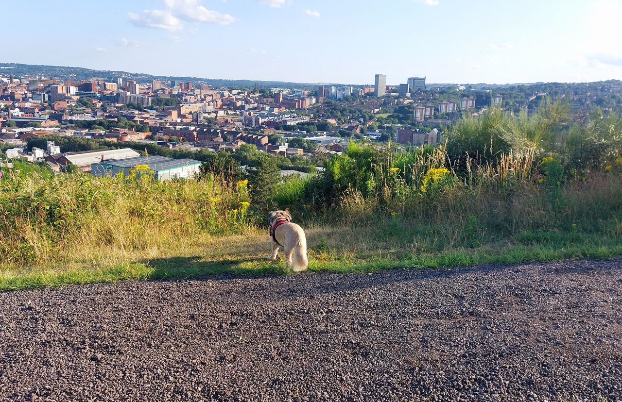 Fwd: Parkwood Springs,Sheffield			
					</div><!-- .entry-content -->
		
		<footer>
		
		
		
					
					</footer><!-- .entry-meta -->
	</article><!-- #post -->
				
											
				
		
<hr class=