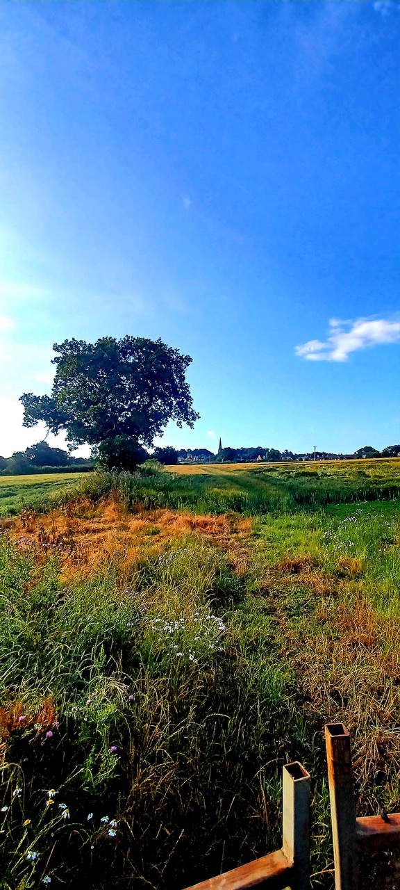 Fwd: By Markius Maximus- Mill Lane , Wentworth.			
					</div><!-- .entry-content -->
		
		<footer>
		
		
		
					
					</footer><!-- .entry-meta -->
	</article><!-- #post -->
				
											
				
		
<hr class=