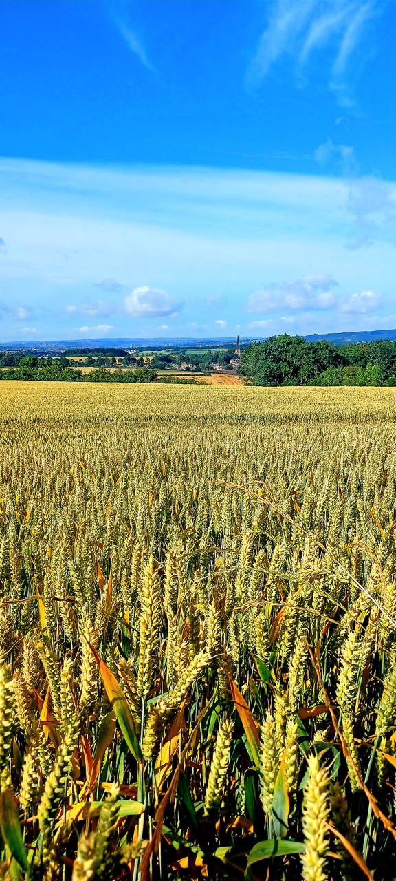 Fwd: By Markius Maximus- Wentworth in distance.			
					</div><!-- .entry-content -->
		
		<footer>
		
		
		
					
					</footer><!-- .entry-meta -->
	</article><!-- #post -->
				
											
				
		
<hr class=