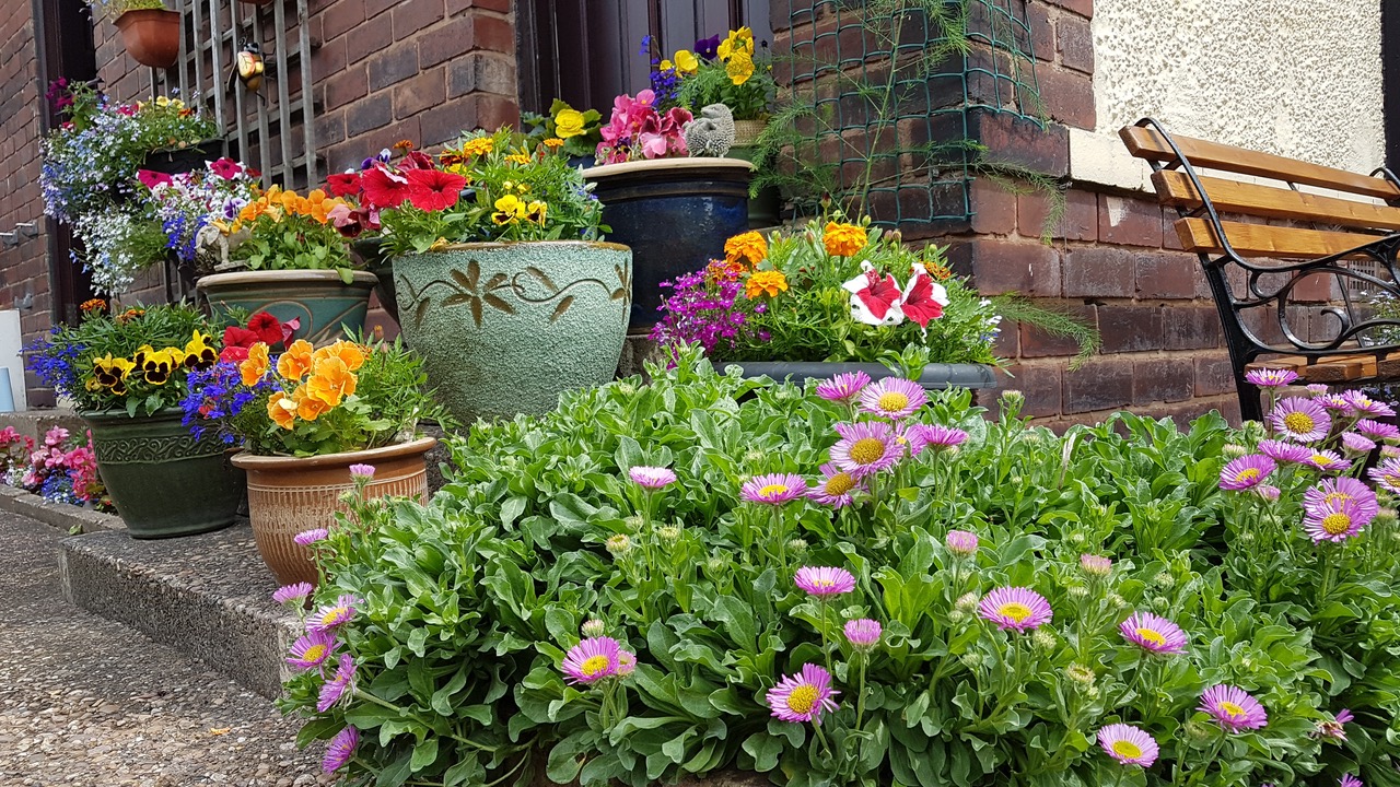 Fwd: Frecheville by Gail Ellis			
					</div><!-- .entry-content -->
		
		<footer>
		
		
		
					
					</footer><!-- .entry-meta -->
	</article><!-- #post -->
				
											
				
		
<hr class=