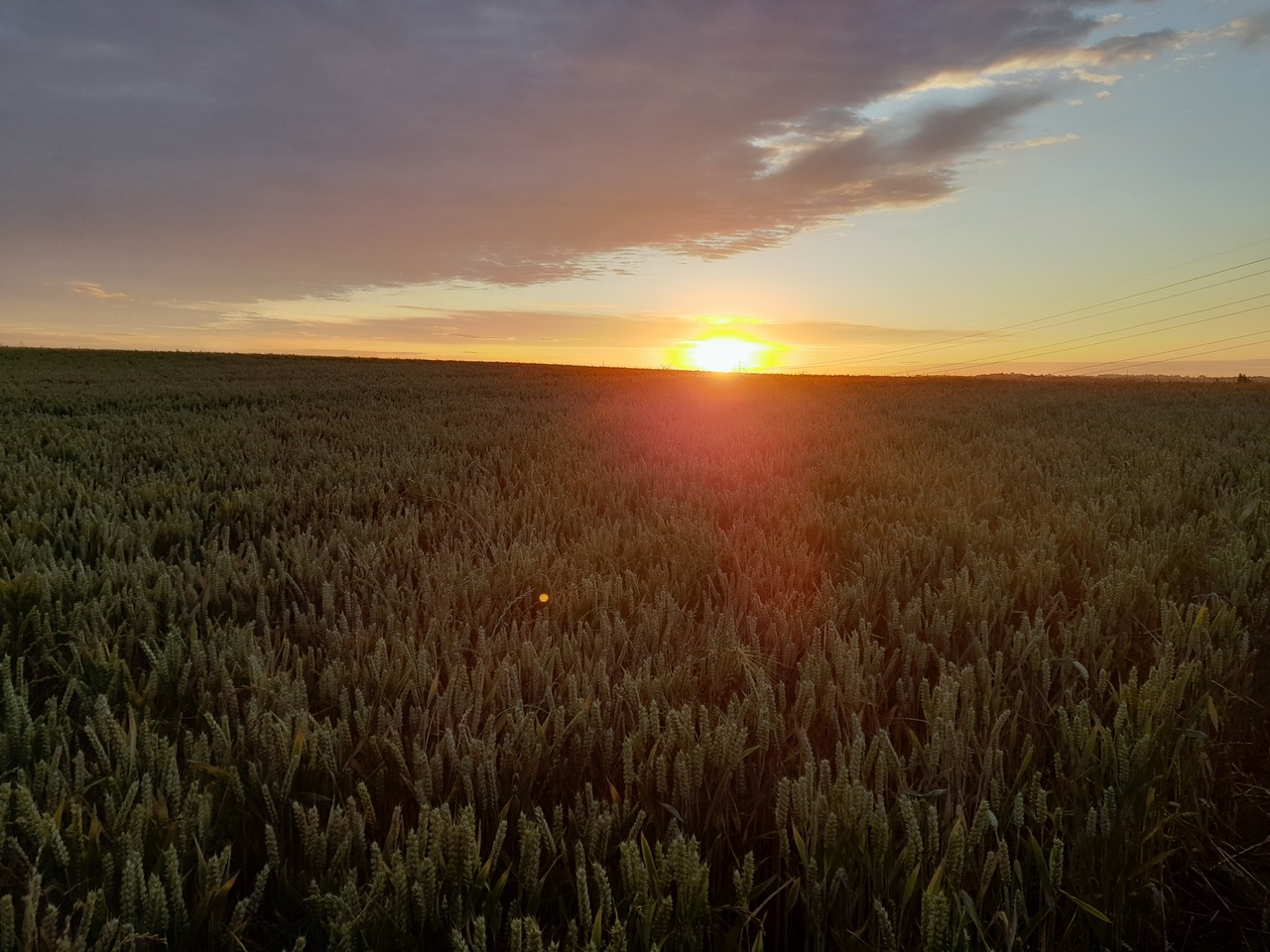 Fwd: Grant Goose, Beighton			
					</div><!-- .entry-content -->
		
		<footer>
		
		
		
					
					</footer><!-- .entry-meta -->
	</article><!-- #post -->
				
											
				
		
<hr class=