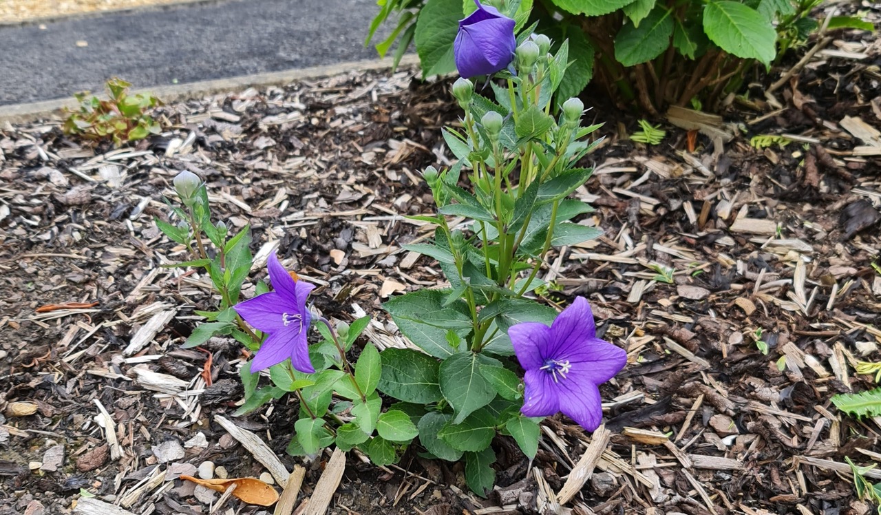 Fwd: Photograph by K Johnson			
					</div><!-- .entry-content -->
		
		<footer>
		
		
		
					
					</footer><!-- .entry-meta -->
	</article><!-- #post -->
				
											
				
		
<hr class=