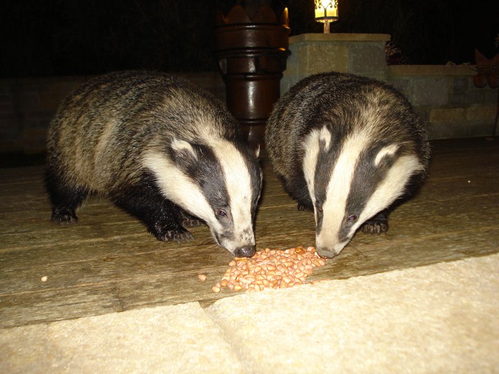 Fwd: Roland Geordie, Supper for Two			
					</div><!-- .entry-content -->
		
		<footer>
		
		
		
					
					</footer><!-- .entry-meta -->
	</article><!-- #post -->
				
											
				
		
<hr class=