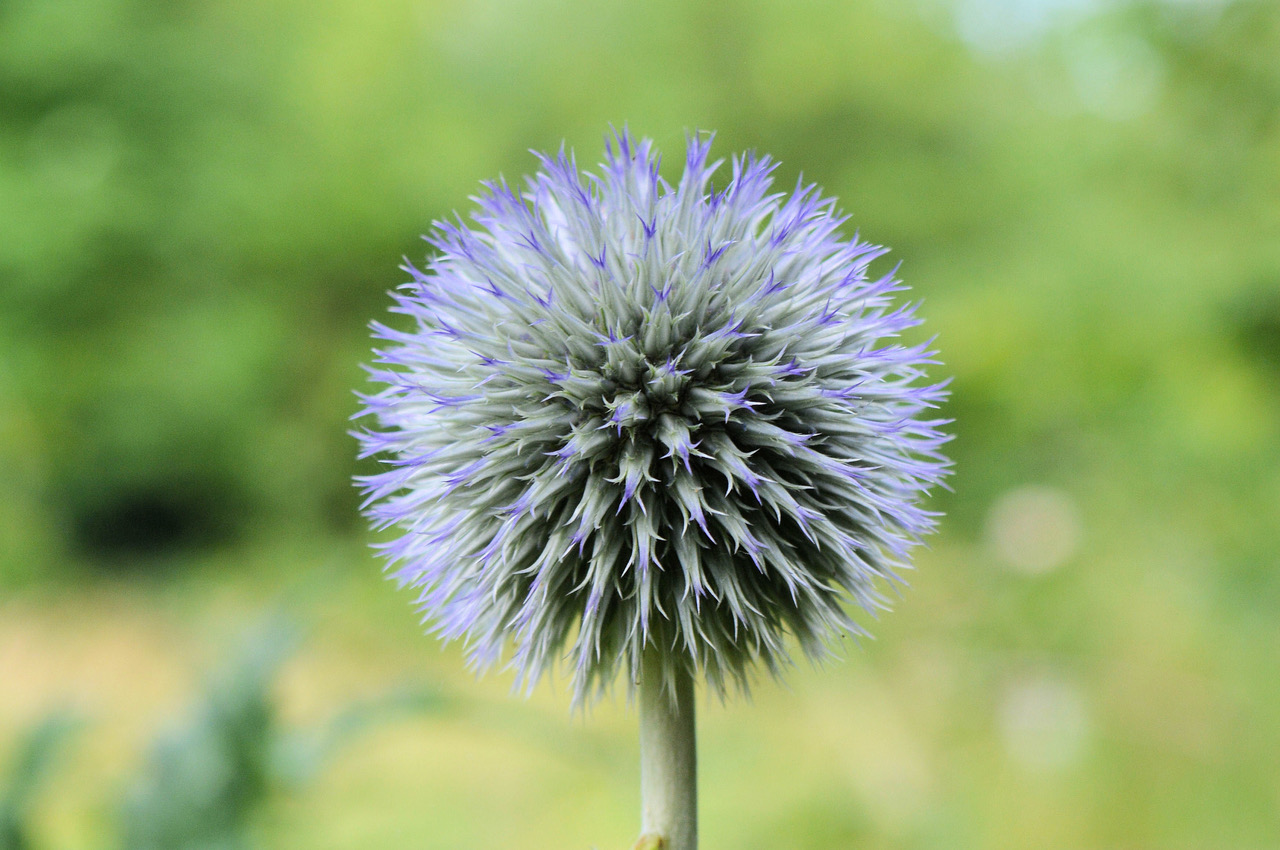 Fwd: Photo			
					</div><!-- .entry-content -->
		
		<footer>
		
		
		
					
					</footer><!-- .entry-meta -->
	</article><!-- #post -->
				
											
				
		
<hr class=