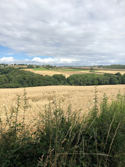 Fwd:			
					</div><!-- .entry-content -->
		
		<footer>
		
		
		
					
					</footer><!-- .entry-meta -->
	</article><!-- #post -->
				
											
				
		
<hr class=