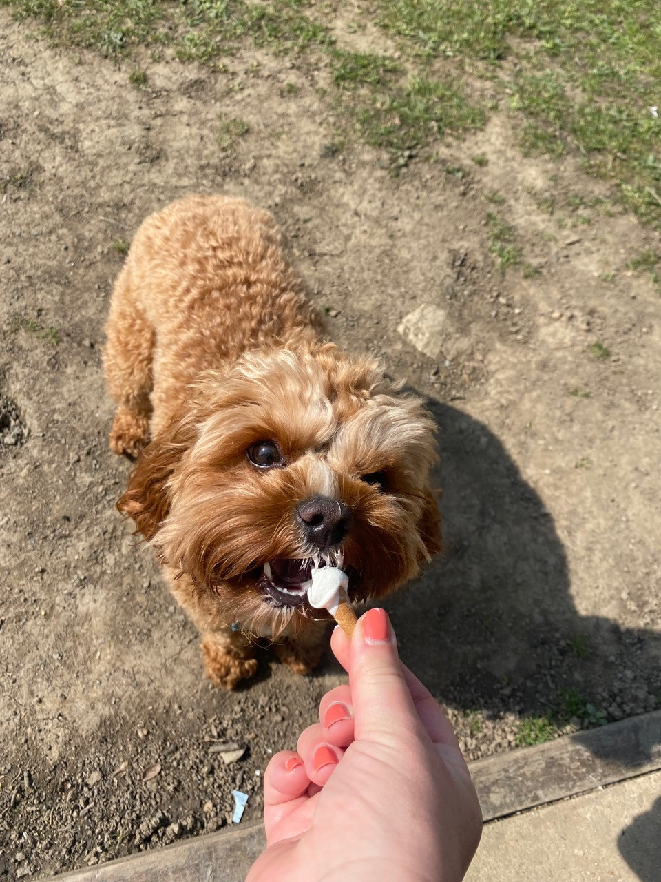 Fwd: Photo			
					</div><!-- .entry-content -->
		
		<footer>
		
		
		
					
					</footer><!-- .entry-meta -->
	</article><!-- #post -->
				
											
				
		
<hr class=