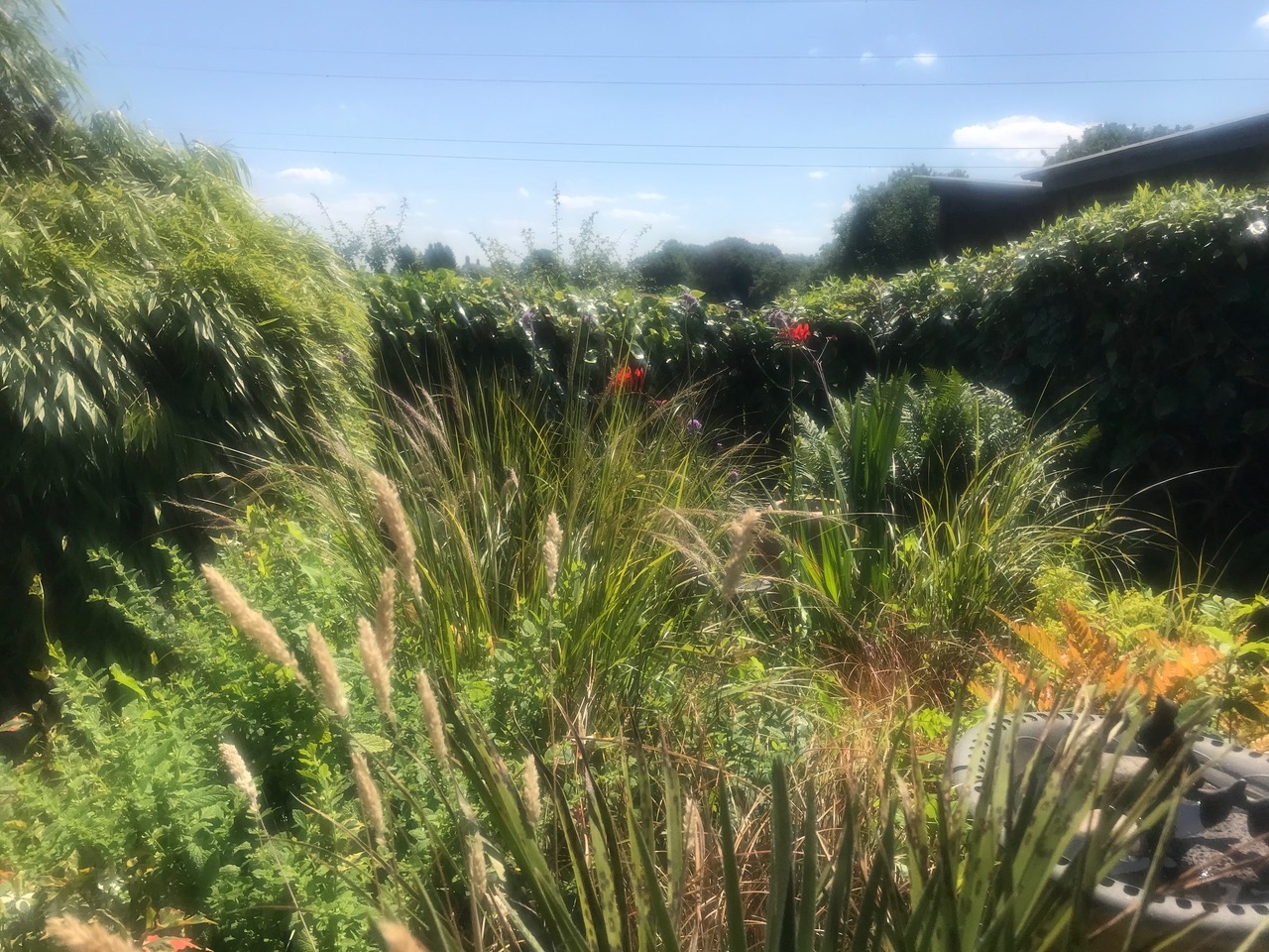 Fwd: Charnock			
					</div><!-- .entry-content -->
		
		<footer>
		
		
		
					
					</footer><!-- .entry-meta -->
	</article><!-- #post -->
				
											
				
		
<hr class=