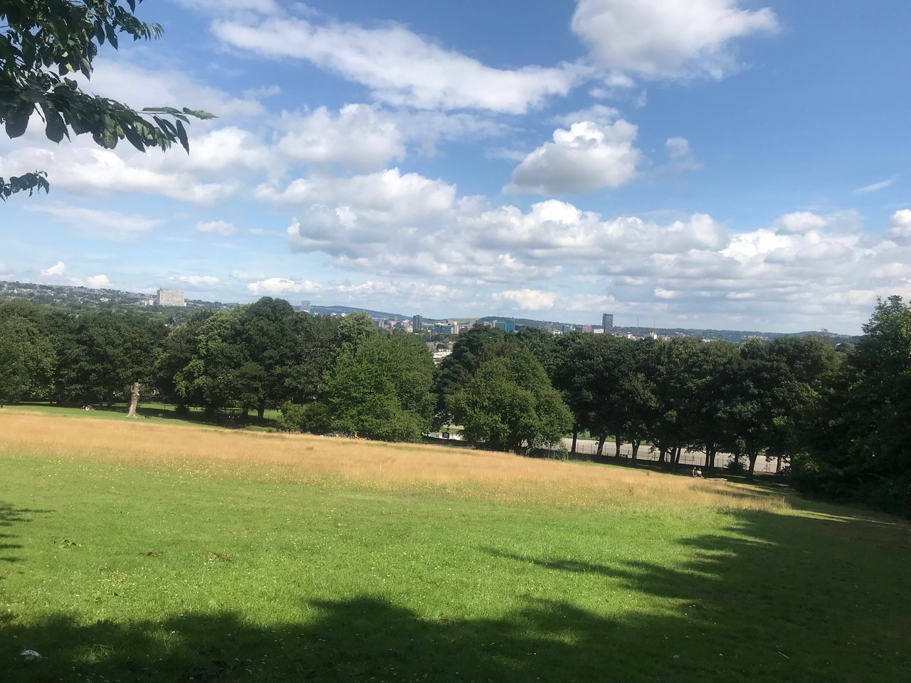 Fwd: Meersbrook Park			
					</div><!-- .entry-content -->
		
		<footer>
		
		
		
					
					</footer><!-- .entry-meta -->
	</article><!-- #post -->
				
											
				
		
<hr class=