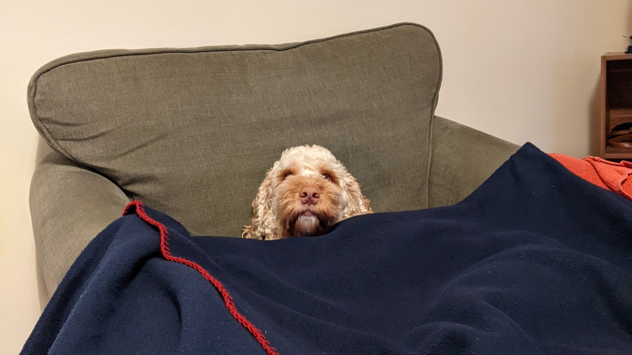 Fwd:			
					</div><!-- .entry-content -->
		
		<footer>
		
		
		
					
					</footer><!-- .entry-meta -->
	</article><!-- #post -->
				
											
				
		
<hr class=