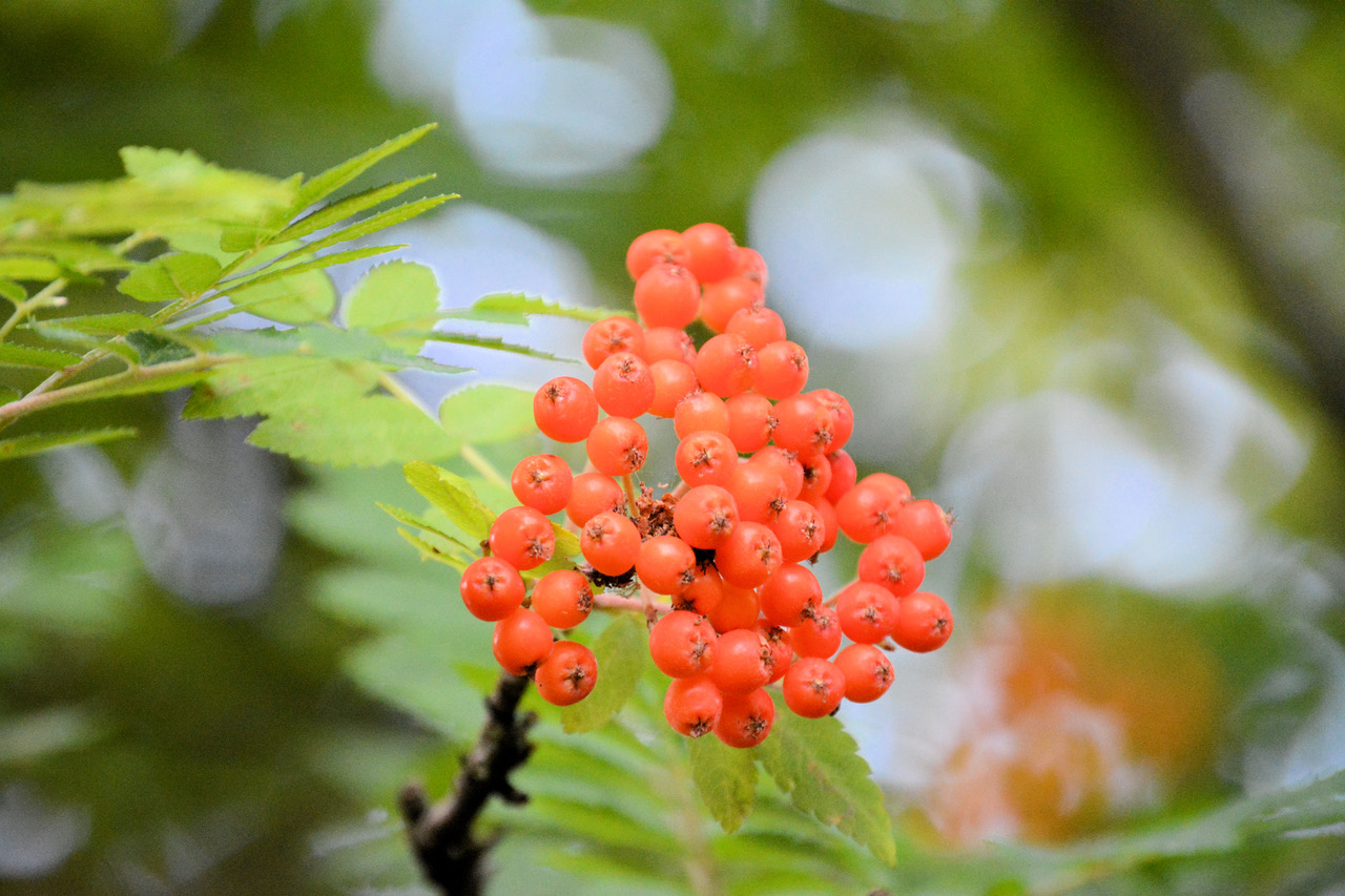 Fwd: Photo			
					</div><!-- .entry-content -->
		
		<footer>
		
		
		
					
					</footer><!-- .entry-meta -->
	</article><!-- #post -->
				
											
				
		
<hr class=