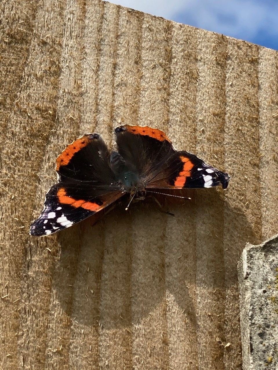 Fwd: Paul from rotherham			
					</div><!-- .entry-content -->
		
		<footer>
		
		
		
					
					</footer><!-- .entry-meta -->
	</article><!-- #post -->
				
											
				
		
<hr class=