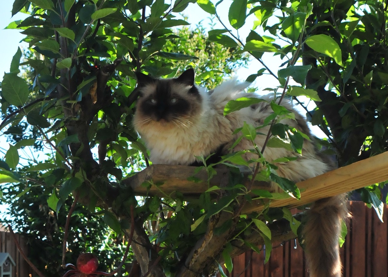 Fwd: Roland Geordie, Olly in his tree hoiuse			
					</div><!-- .entry-content -->
		
		<footer>
		
		
		
					
					</footer><!-- .entry-meta -->
	</article><!-- #post -->
				
											
				
		
<hr class=