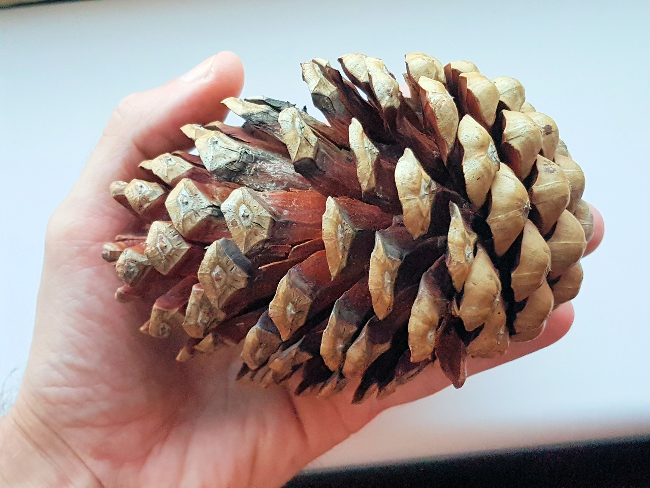 Fwd: Photo			
					</div><!-- .entry-content -->
		
		<footer>
		
		
		
					
					</footer><!-- .entry-meta -->
	</article><!-- #post -->
				
											
				
		
<hr class=