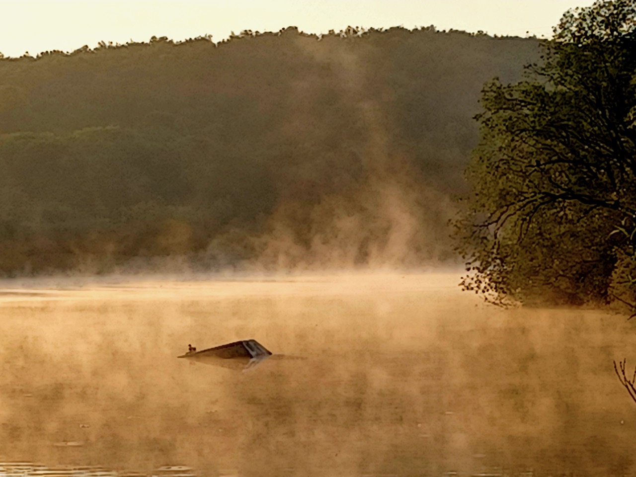 Fwd: By Markimus Maximus – Treeton Dyke			
					</div><!-- .entry-content -->
		
		<footer>
		
		
		
					
					</footer><!-- .entry-meta -->
	</article><!-- #post -->
				
											
				
		
<hr class=