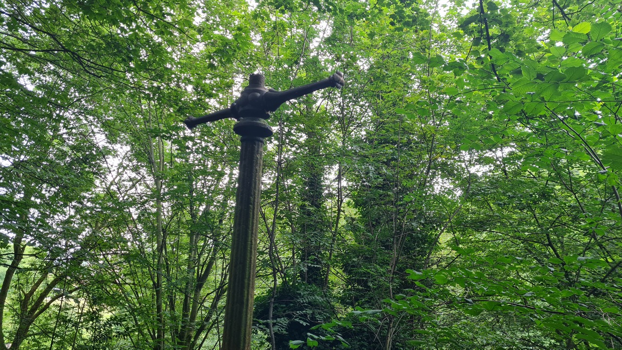 Fwd: Greg Howarth Old Lamp Ponderosa			
					</div><!-- .entry-content -->
		
		<footer>
		
		
		
					
					</footer><!-- .entry-meta -->
	</article><!-- #post -->
				
											
				
		
<hr class=