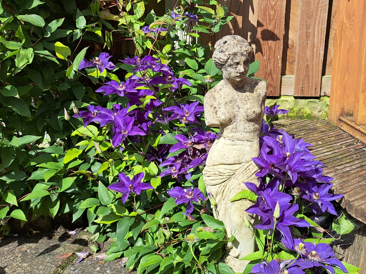 Fwd: Beautiful Flowers			
					</div><!-- .entry-content -->
		
		<footer>
		
		
		
					
					</footer><!-- .entry-meta -->
	</article><!-- #post -->
				
											
				
		
<hr class=