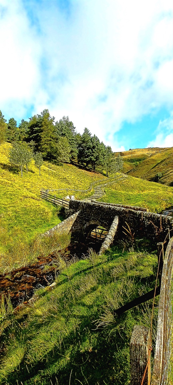 Fwd: By Markius Maximus- Jacobs ladder, Eadale.			
					</div><!-- .entry-content -->
		
		<footer>
		
		
		
					
					</footer><!-- .entry-meta -->
	</article><!-- #post -->
				
											
				
		
<hr class=