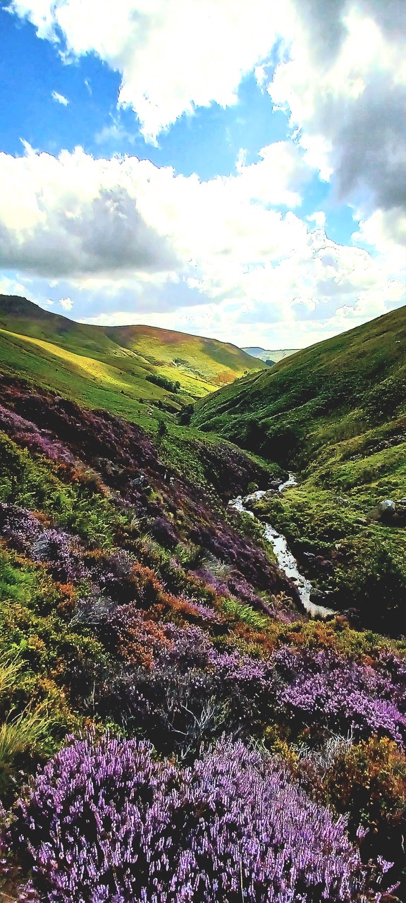 Fwd: By Markius Maximus- Grinsbrook Knoll			
					</div><!-- .entry-content -->
		
		<footer>
		
		
		
					
					</footer><!-- .entry-meta -->
	</article><!-- #post -->
				
											
				
		
<hr class=