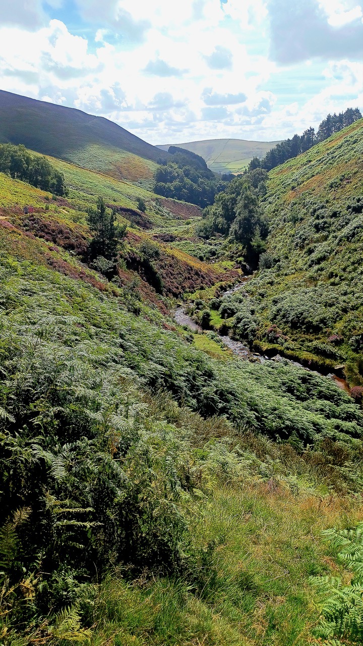 Fwd: By Markius Maximus- Grinsbrook Knoll			
					</div><!-- .entry-content -->
		
		<footer>
		
		
		
					
					</footer><!-- .entry-meta -->
	</article><!-- #post -->
				
											
				
		
<hr class=