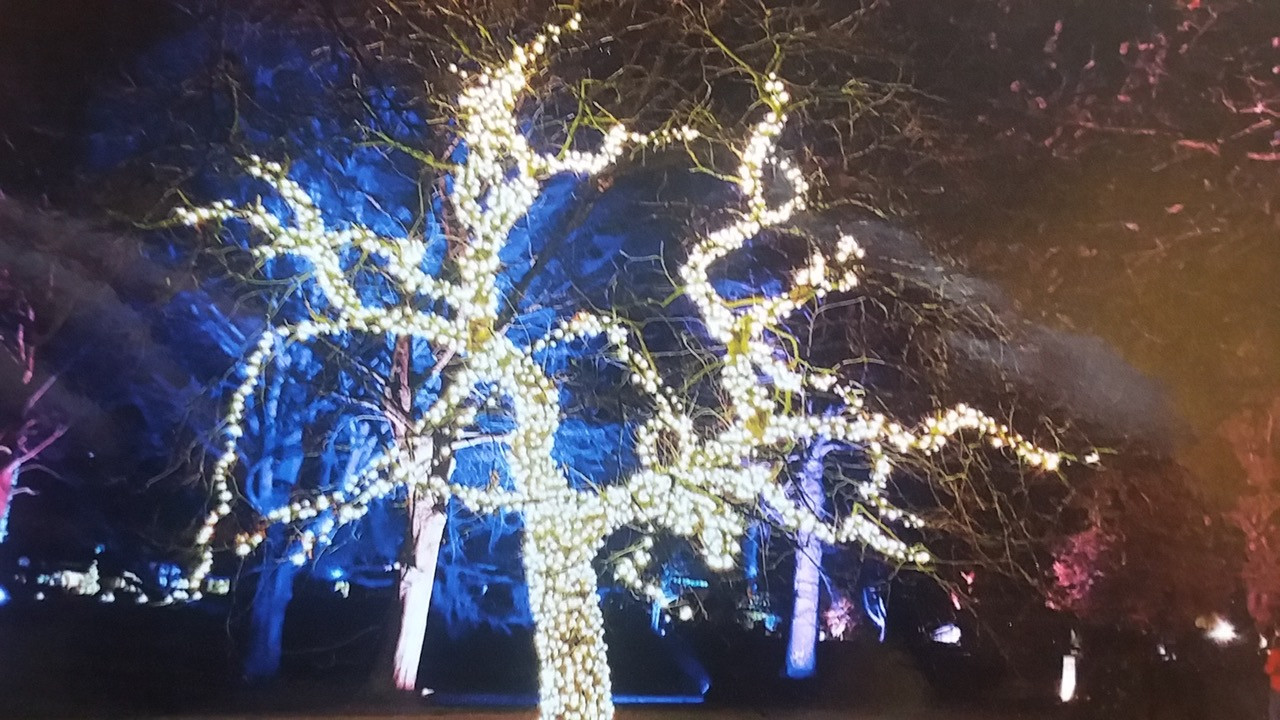 Fwd: Chatsworth at christmas by Jennifer Tomlinson			
					</div><!-- .entry-content -->
		
		<footer>
		
		
		
					
					</footer><!-- .entry-meta -->
	</article><!-- #post -->
				
											
				
		
<hr class=