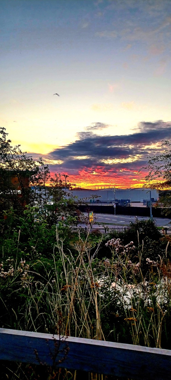 Fwd: By Markius Maximus- Sunrise Parkgate.			
					</div><!-- .entry-content -->
		
		<footer>
		
		
		
					
					</footer><!-- .entry-meta -->
	</article><!-- #post -->
				
											
				
		
<hr class=