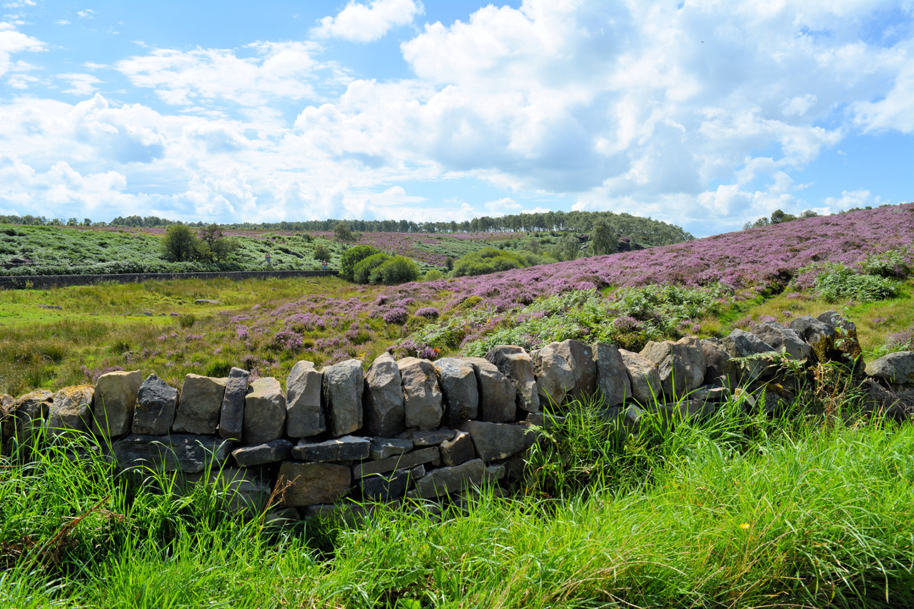 Fwd: Photo			
					</div><!-- .entry-content -->
		
		<footer>
		
		
		
					
					</footer><!-- .entry-meta -->
	</article><!-- #post -->
				
											
				
		
<hr class=