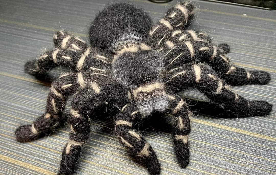 Fwd: Photograph by K Johnson Tarantula.			
					</div><!-- .entry-content -->
		
		<footer>
		
		
		
					
					</footer><!-- .entry-meta -->
	</article><!-- #post -->
				
											
				
		
<hr class=