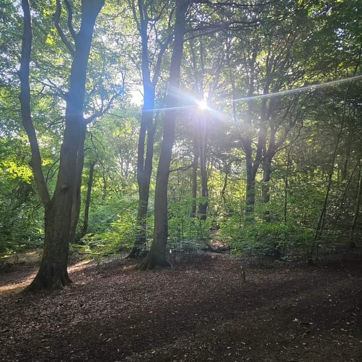 Fwd: By Simon Rudkin Esq – Scholes Wood.			
					</div><!-- .entry-content -->
		
		<footer>
		
		
		
					
					</footer><!-- .entry-meta -->
	</article><!-- #post -->
				
											
				
		
<hr class=