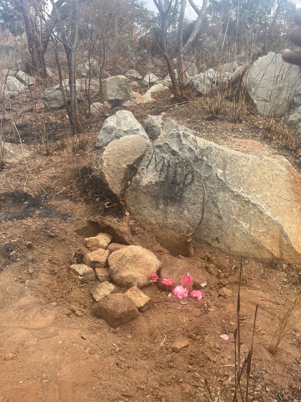 Fwd: Photo by Emelly Tarumbwa, Sheffield, South Yorkshire			
					</div><!-- .entry-content -->
		
		<footer>
		
		
		
					
					</footer><!-- .entry-meta -->
	</article><!-- #post -->
				
											
				
		
<hr class=