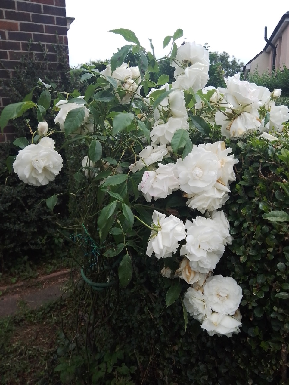 Fwd:			
					</div><!-- .entry-content -->
		
		<footer>
		
		
		
					
					</footer><!-- .entry-meta -->
	</article><!-- #post -->
				
											
				
		
<hr class=