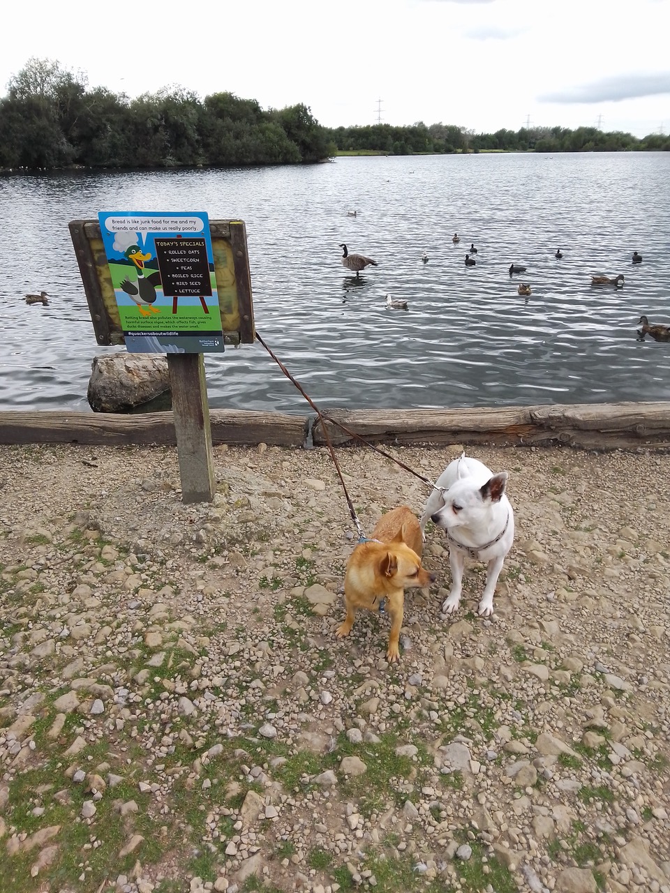 Fwd: Rother valley			
					</div><!-- .entry-content -->
		
		<footer>
		
		
		
					
					</footer><!-- .entry-meta -->
	</article><!-- #post -->
				
											
				
		
<hr class=
