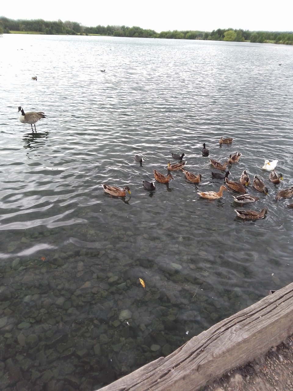 Fwd: Rother valley country park			
					</div><!-- .entry-content -->
		
		<footer>
		
		
		
					
					</footer><!-- .entry-meta -->
	</article><!-- #post -->
				
											
				
		
<hr class=