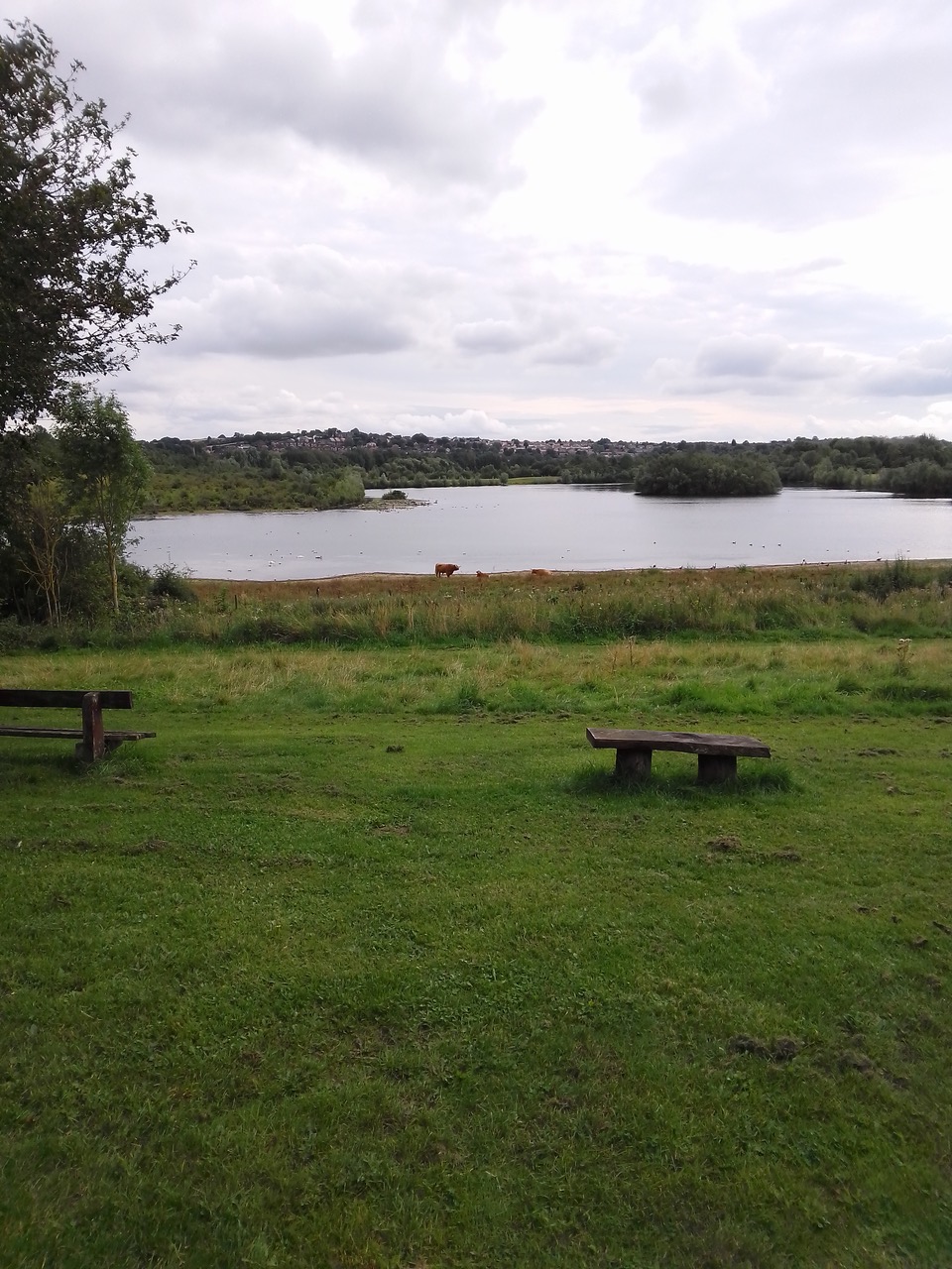 Fwd: Rother valley country park			
					</div><!-- .entry-content -->
		
		<footer>
		
		
		
					
					</footer><!-- .entry-meta -->
	</article><!-- #post -->
				
											
				
		
<hr class=