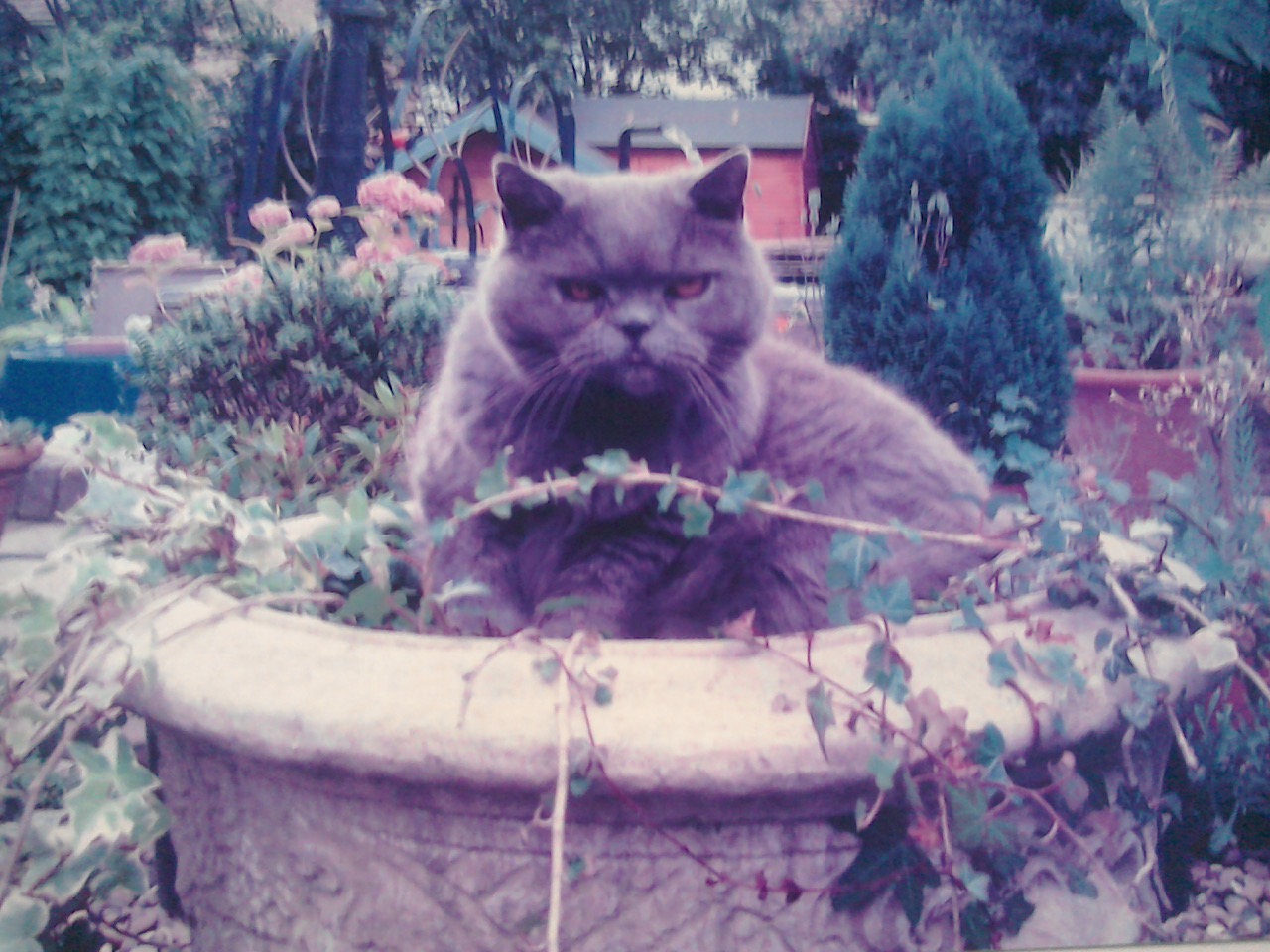 Fwd: Chang			
					</div><!-- .entry-content -->
		
		<footer>
		
		
		
					
					</footer><!-- .entry-meta -->
	</article><!-- #post -->
				
											
				
		
<hr class=