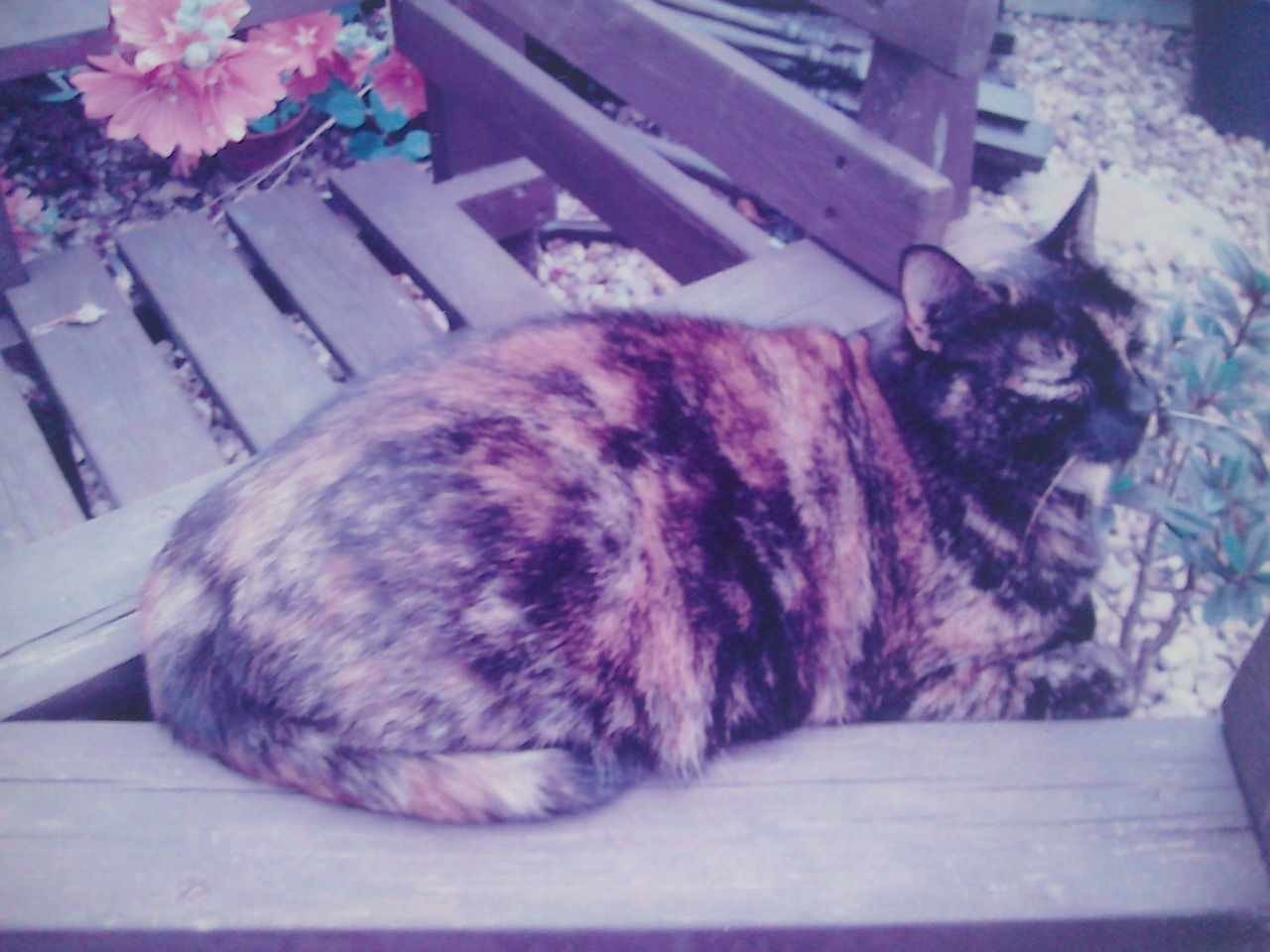 Fwd: Bronte			
					</div><!-- .entry-content -->
		
		<footer>
		
		
		
					
					</footer><!-- .entry-meta -->
	</article><!-- #post -->
				
											
				
		
<hr class=