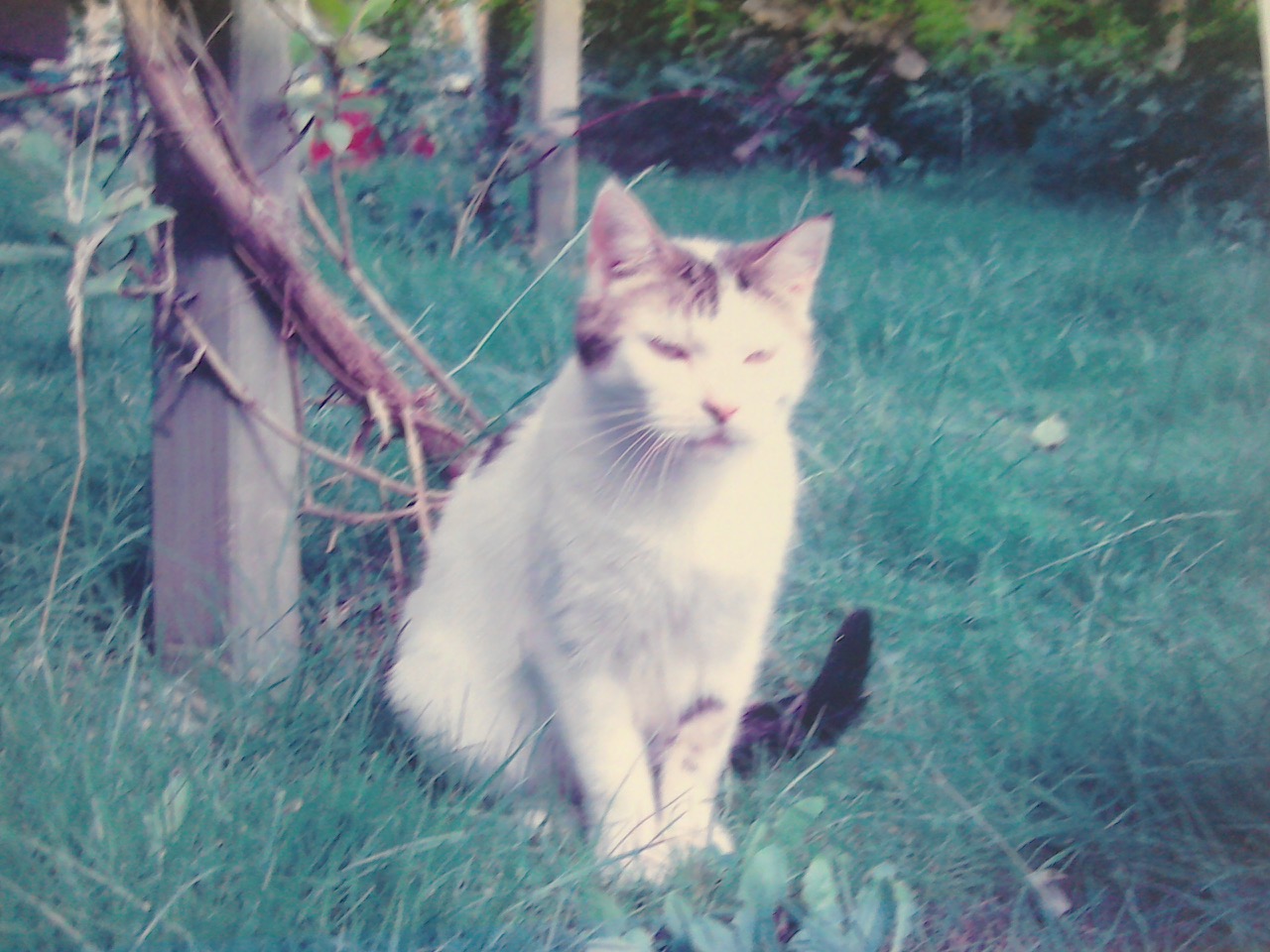 Fwd: Timmy			
					</div><!-- .entry-content -->
		
		<footer>
		
		
		
					
					</footer><!-- .entry-meta -->
	</article><!-- #post -->
				
											
				
		
<hr class=