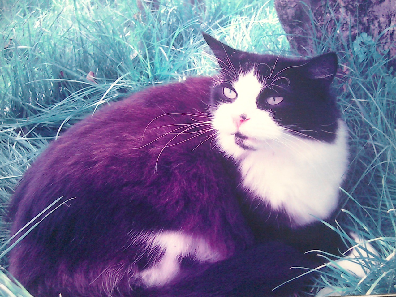 Fwd: Felix			
					</div><!-- .entry-content -->
		
		<footer>
		
		
		
					
					</footer><!-- .entry-meta -->
	</article><!-- #post -->
				
											
				
		
<hr class=