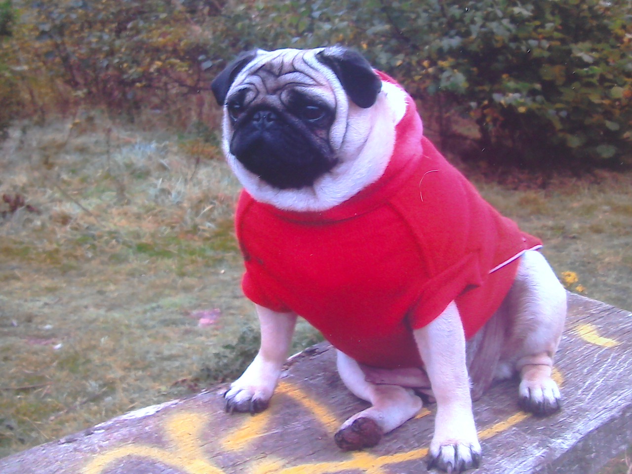 Fwd: LULU			
					</div><!-- .entry-content -->
		
		<footer>
		
		
		
					
					</footer><!-- .entry-meta -->
	</article><!-- #post -->
				
											
				
		
<hr class=