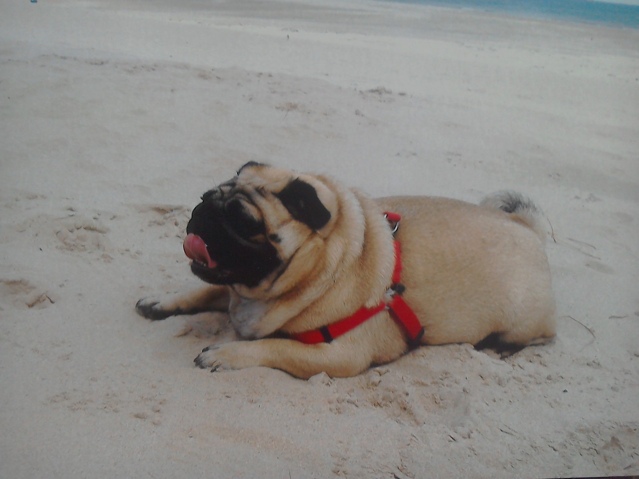 Fwd: Toby			
					</div><!-- .entry-content -->
		
		<footer>
		
		
		
					
					</footer><!-- .entry-meta -->
	</article><!-- #post -->
				
											
				
		
<hr class=