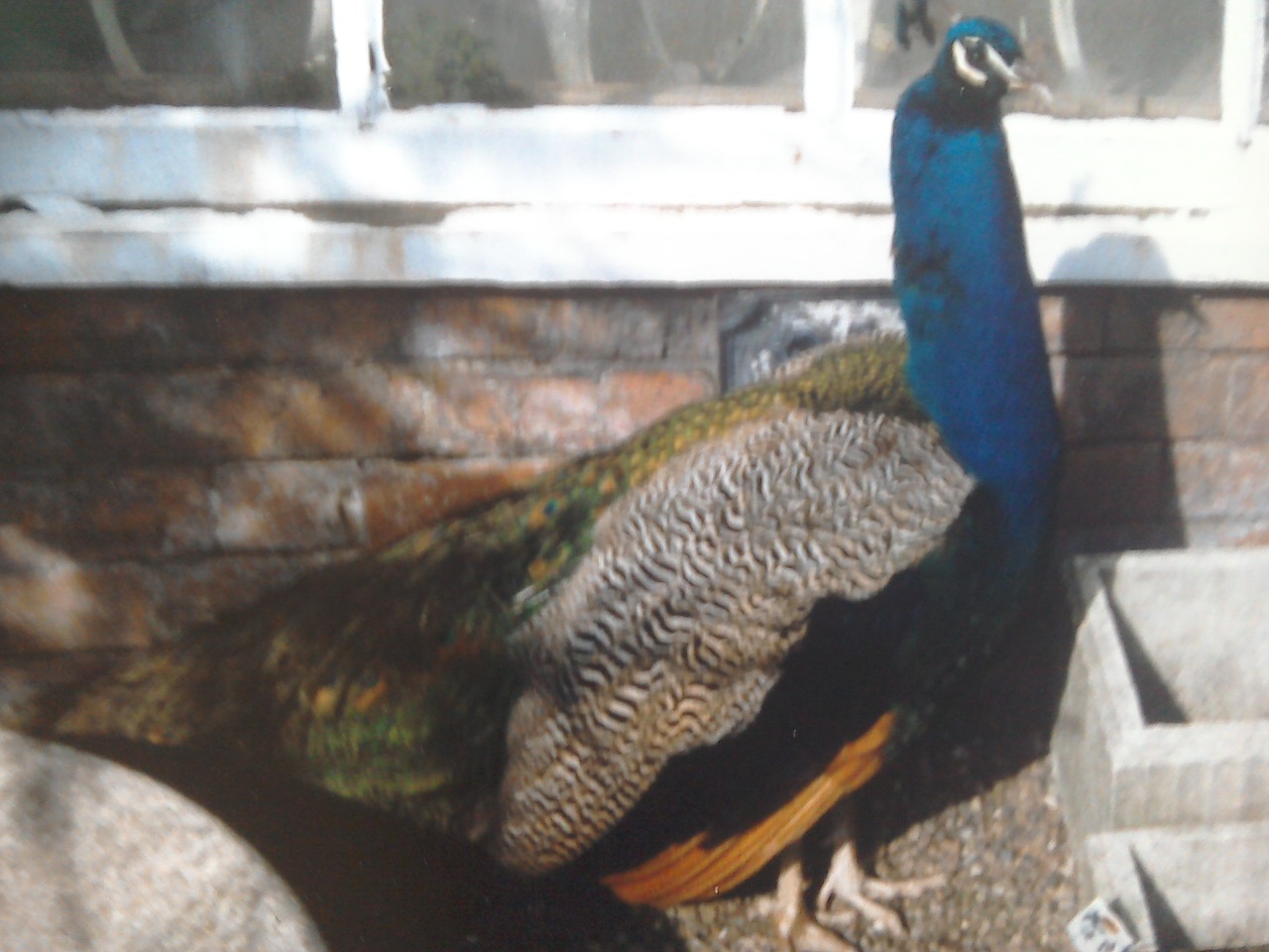 Fwd:			
					</div><!-- .entry-content -->
		
		<footer>
		
		
		
					
					</footer><!-- .entry-meta -->
	</article><!-- #post -->
				
											
				
		
<hr class=