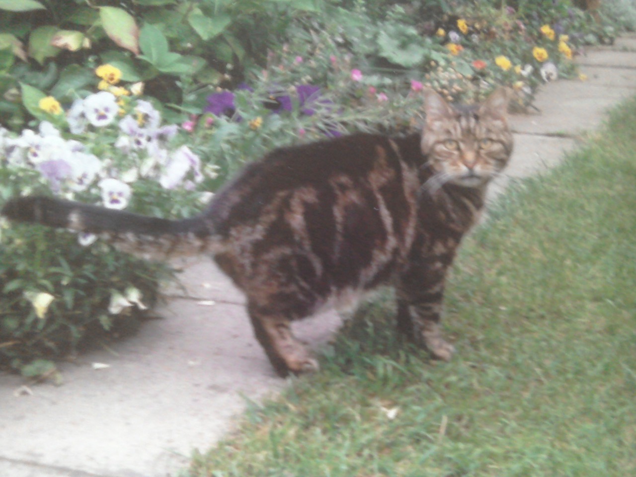 Fwd: Sammy			
					</div><!-- .entry-content -->
		
		<footer>
		
		
		
					
					</footer><!-- .entry-meta -->
	</article><!-- #post -->
				
											
				
		
<hr class=