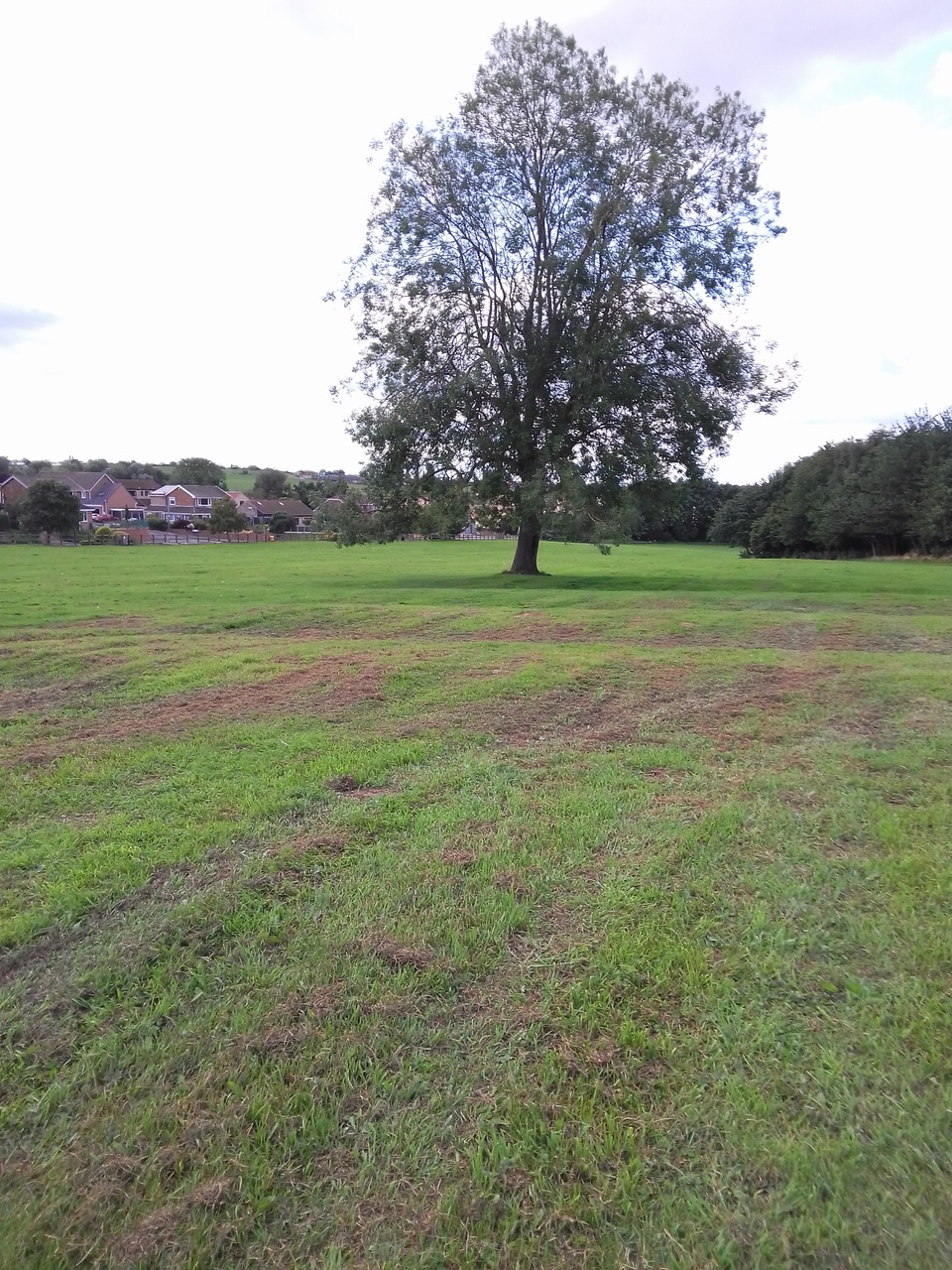 Fwd: Harthill park			
					</div><!-- .entry-content -->
		
		<footer>
		
		
		
					
					</footer><!-- .entry-meta -->
	</article><!-- #post -->
				
											
				
		
<hr class=