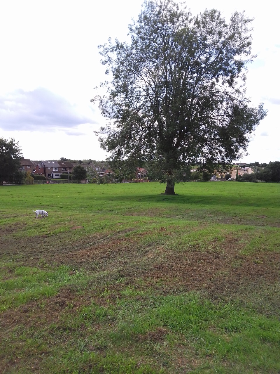 Fwd: Harthill park			
					</div><!-- .entry-content -->
		
		<footer>
		
		
		
					
					</footer><!-- .entry-meta -->
	</article><!-- #post -->
				
											
				
		
<hr class=